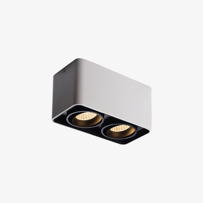 Giyan Flush mount light Spotlight