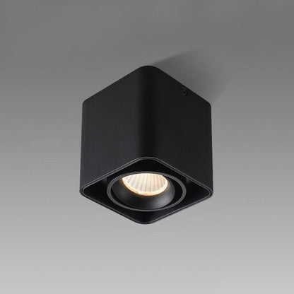 Giyan Flush mount light Spotlight