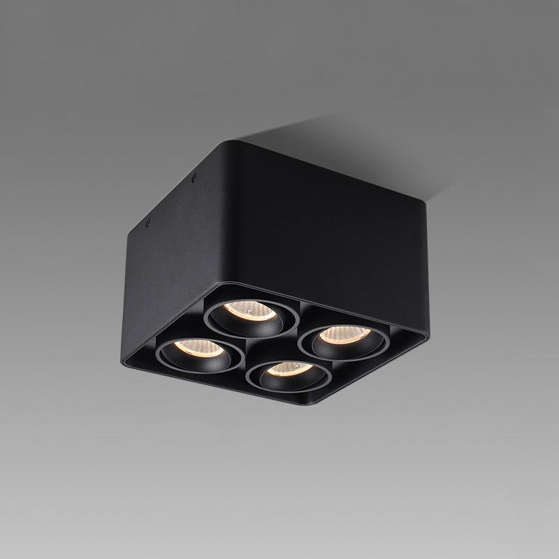 Giyan Flush mount light Spotlight