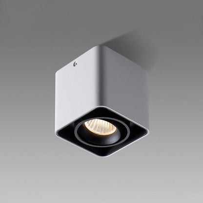 Giyan Flush mount light Spotlight