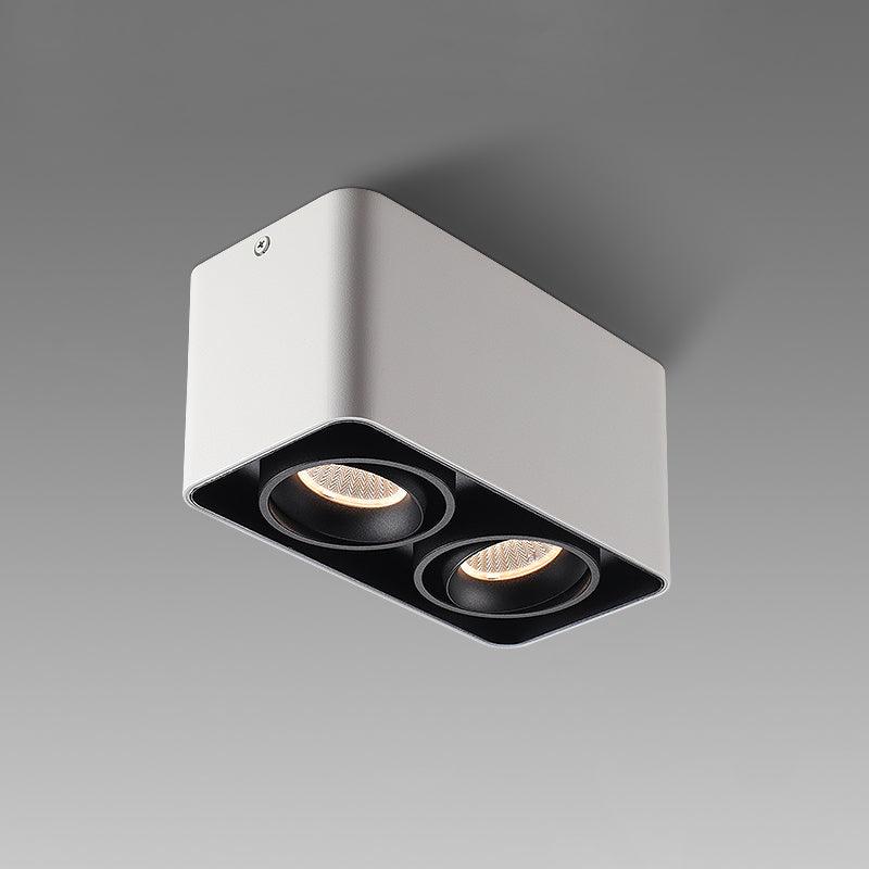 Giyan Flush mount light Spotlight