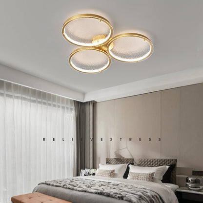 Golden Rings Overhead light Ceiling Light