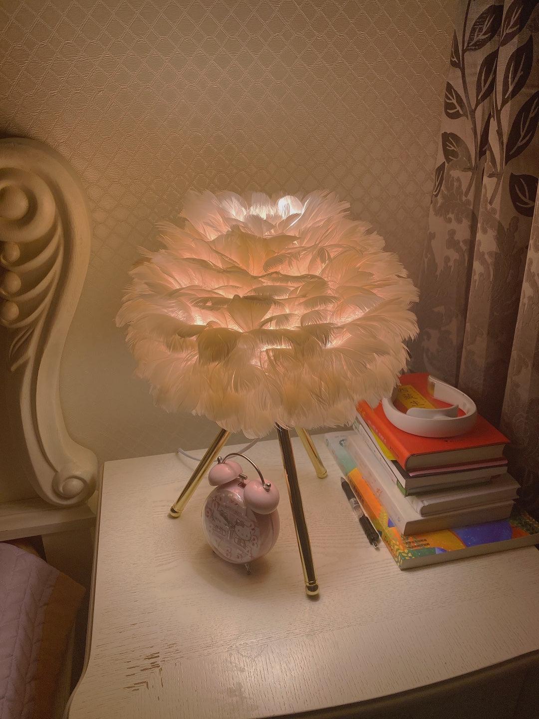 Goose Feather Accent lamp Table Lamp