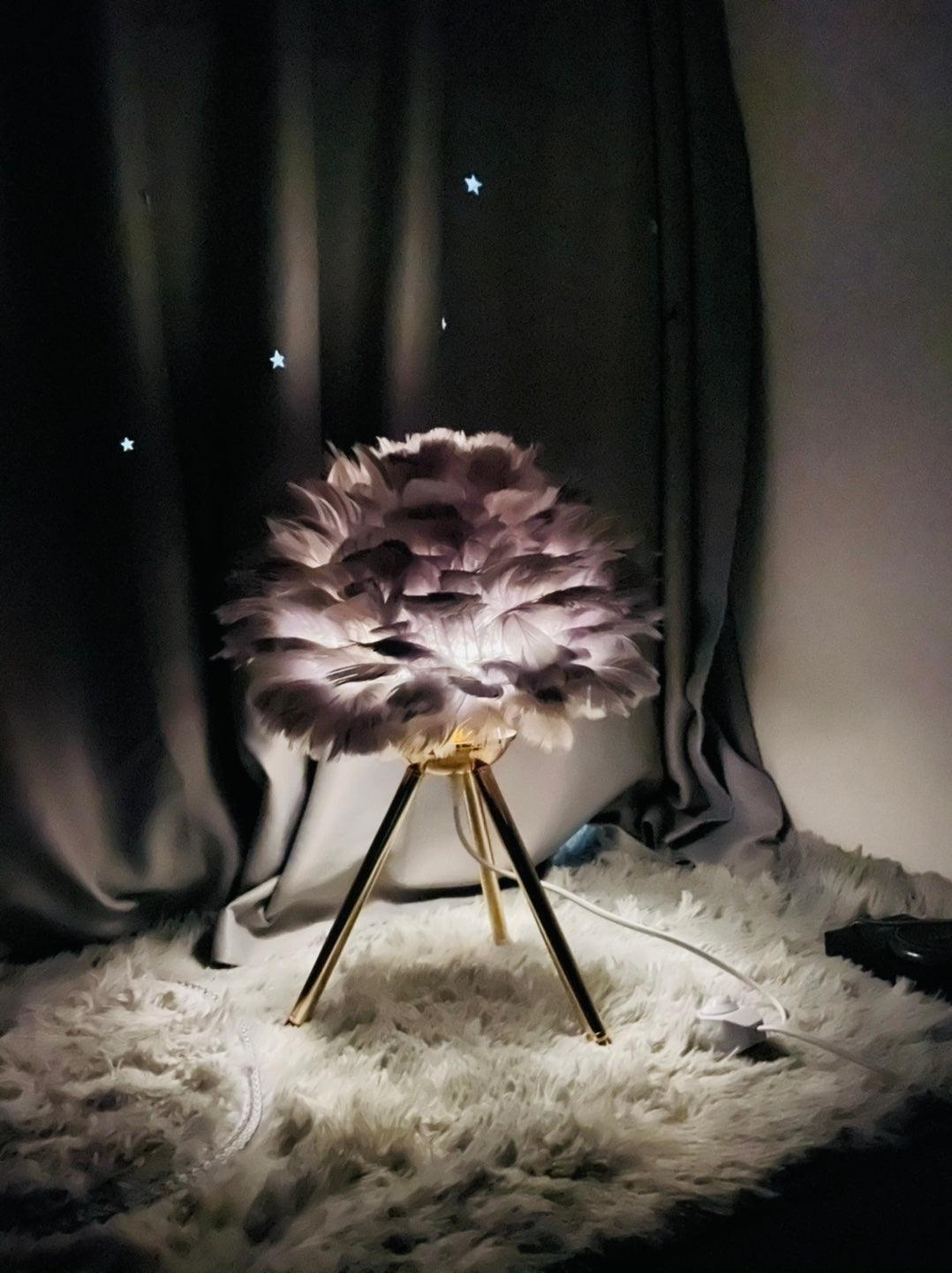 Goose Feather Accent lamp Table Lamp