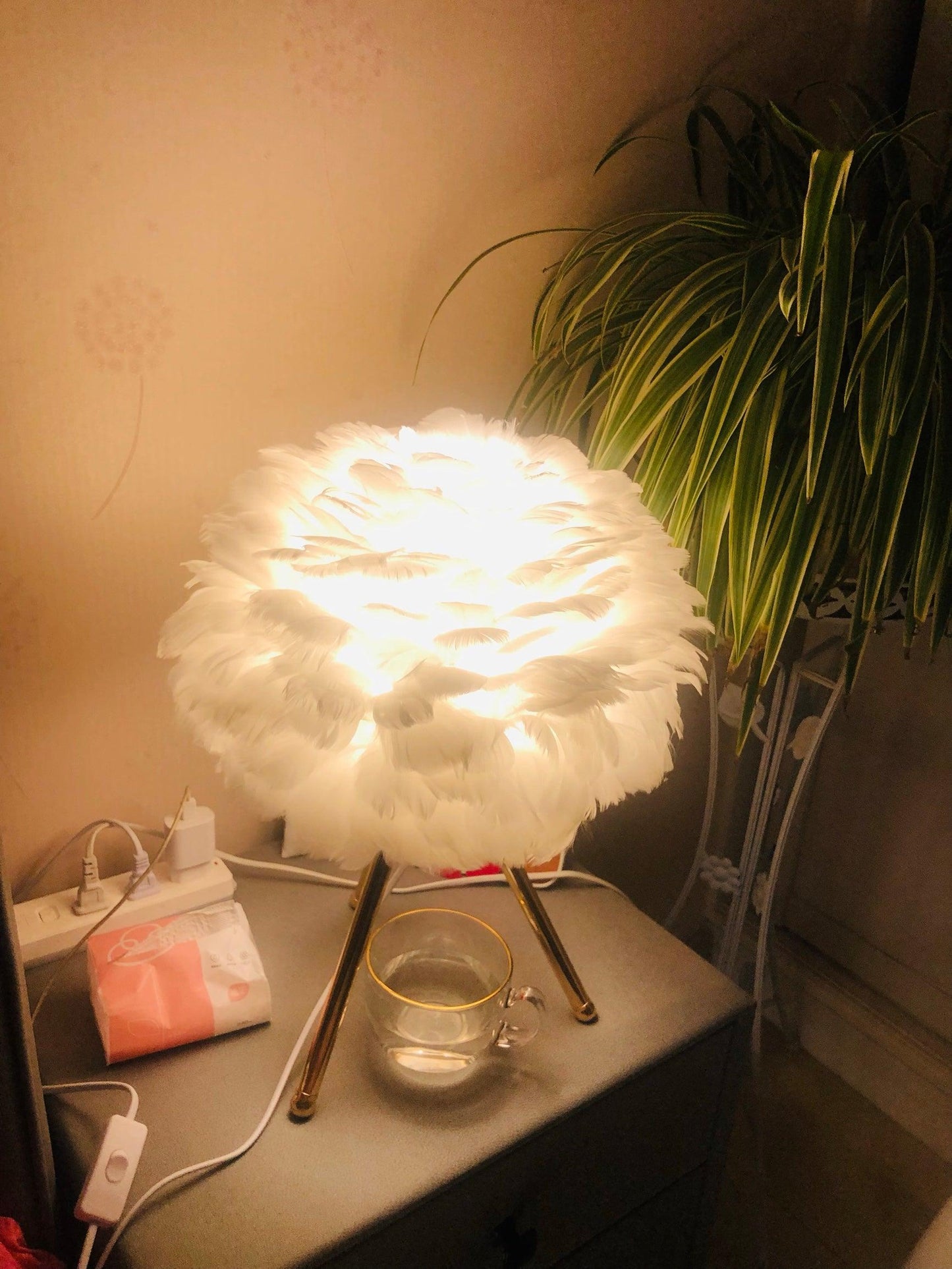 Goose Feather Accent lamp Table Lamp