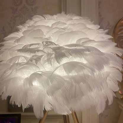 Goose Feather Accent lamp Table Lamp