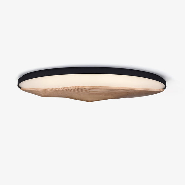 Half-Mountain Flush mount light Ceiling Lamp