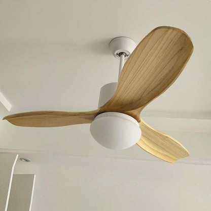 Harborough 3 Ceiling light Ceiling Fan Light