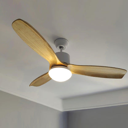 Harborough 3 Ceiling light Ceiling Fan Light