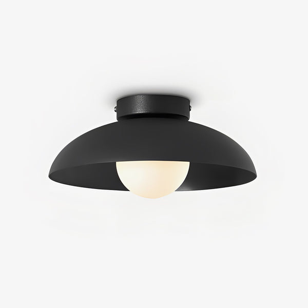 Harper Glass Dome Overhead light Ceiling Lamp