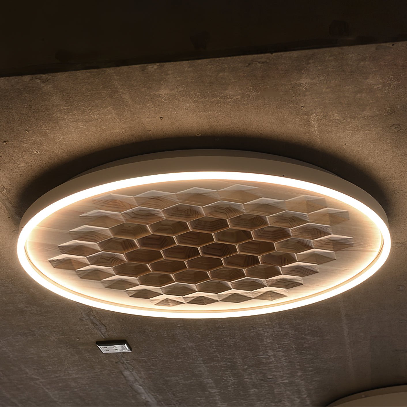 Heartwood Overhead fixture Ceiling Lamp