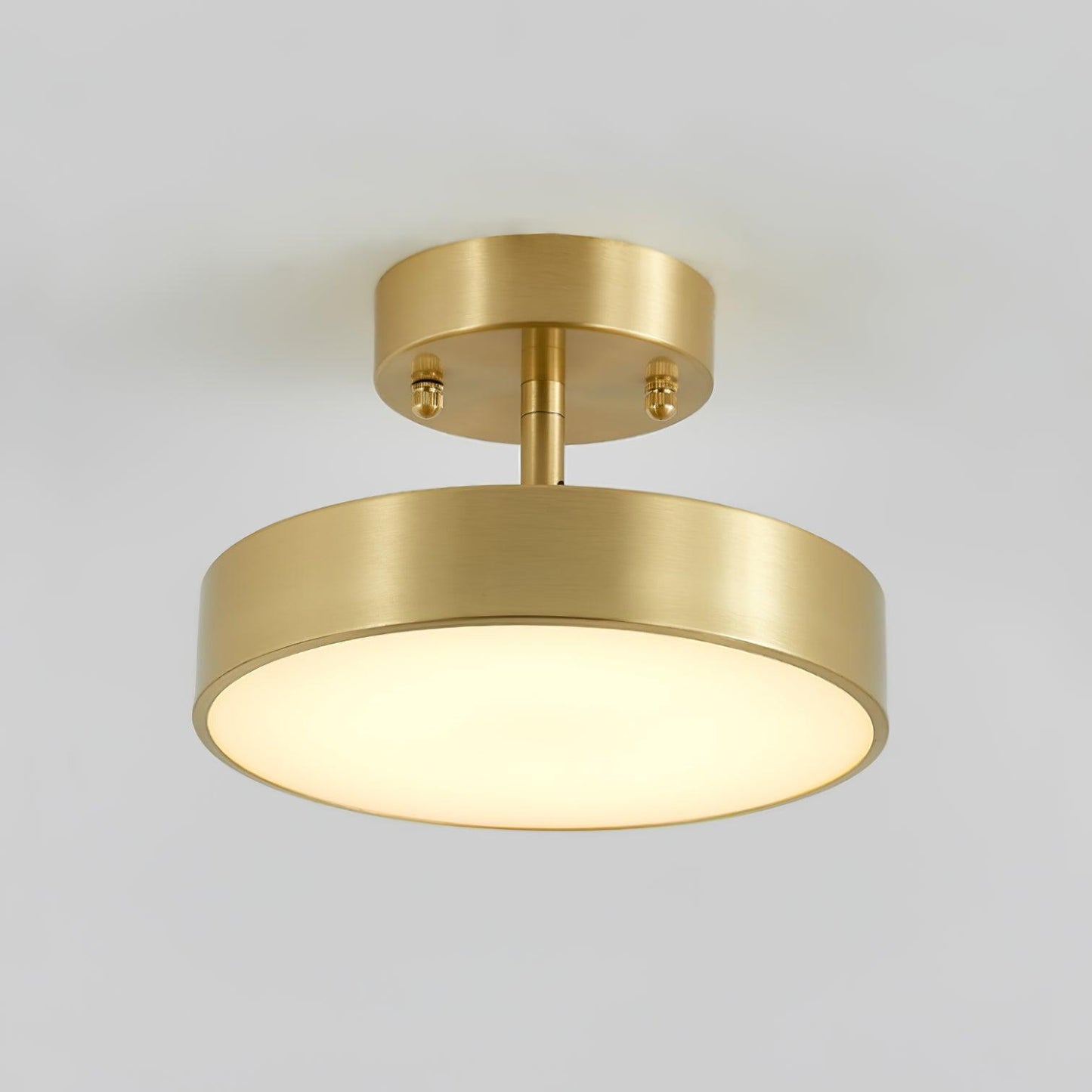 Hero Rotating Overhead light Ceiling Lamp