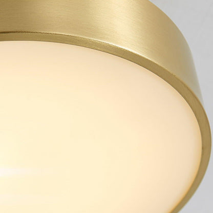 Hero Rotating Overhead light Ceiling Lamp