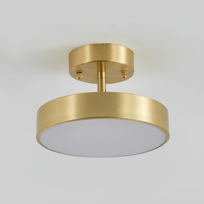 Hero Rotating Overhead light Ceiling Lamp