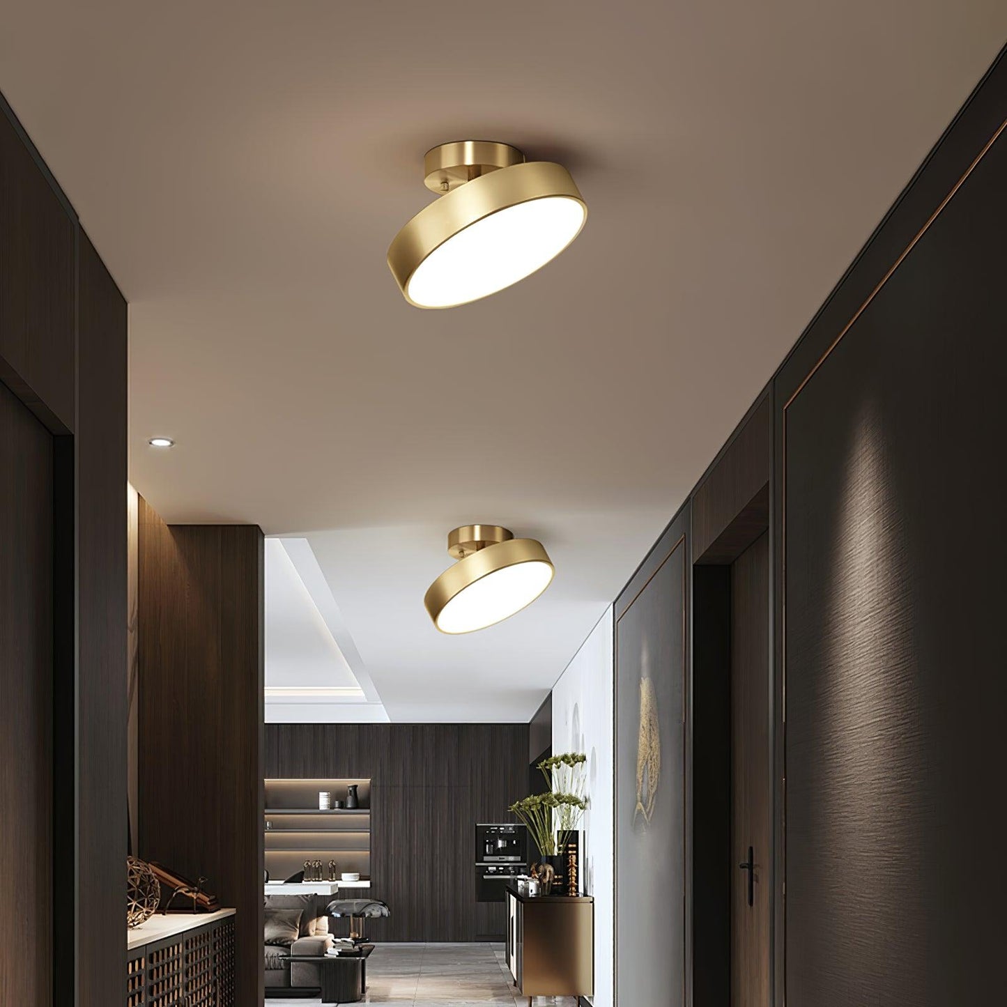 Hero Rotating Overhead light Ceiling Lamp