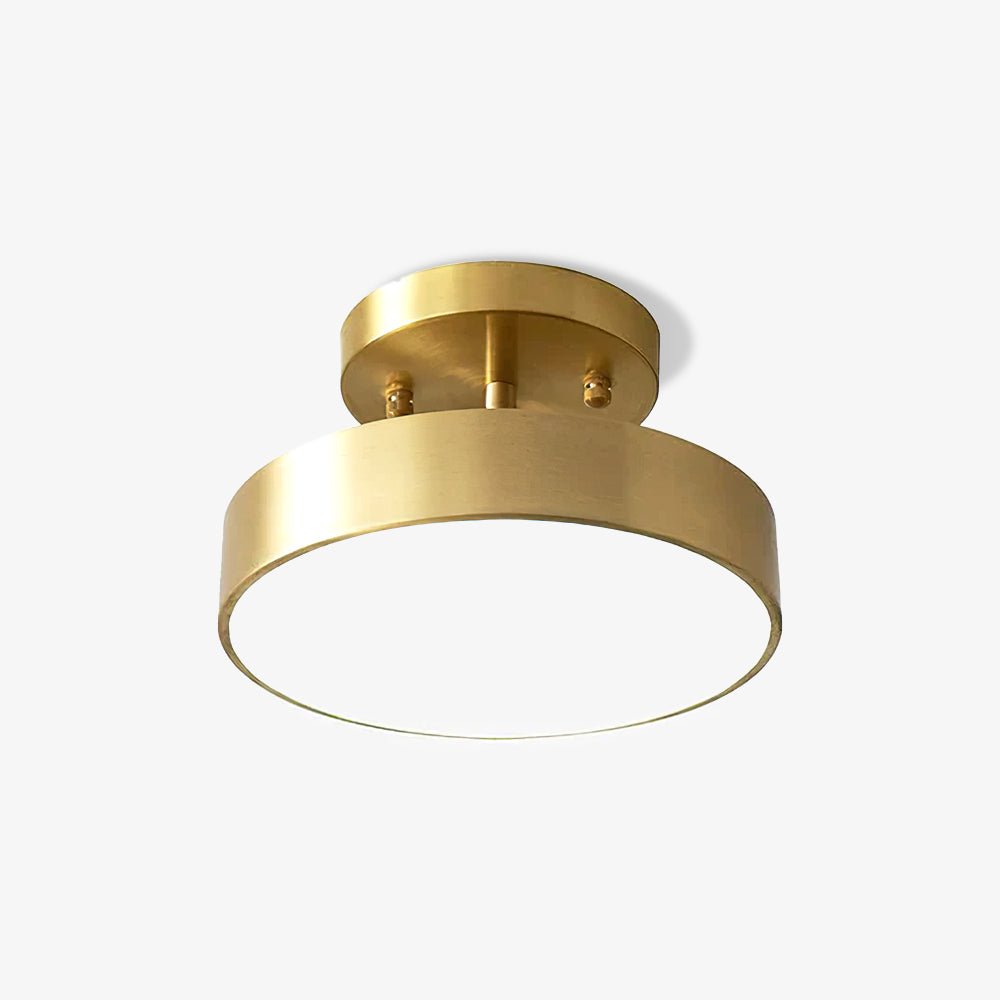 Hero Rotating Overhead light Ceiling Lamp