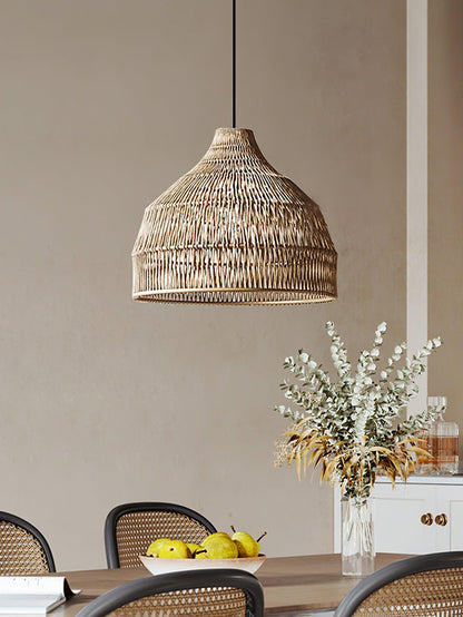 Hues Wicker Hanging light Pendant Lamp