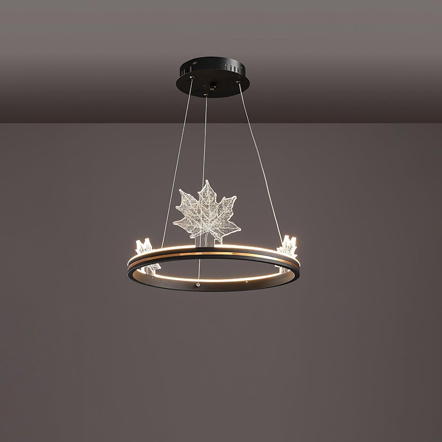 Ion Leaf Ceiling fixture Chandelier