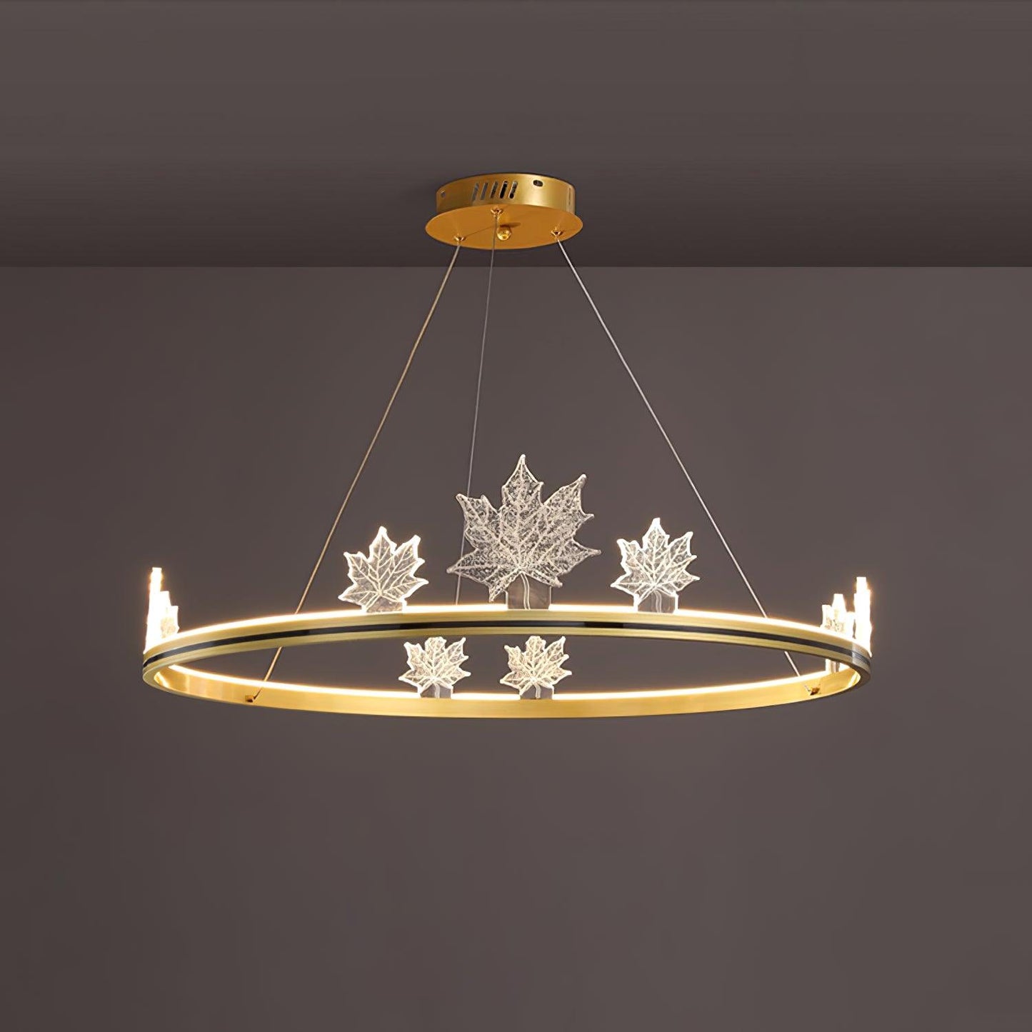 Ion Leaf Ceiling fixture Chandelier