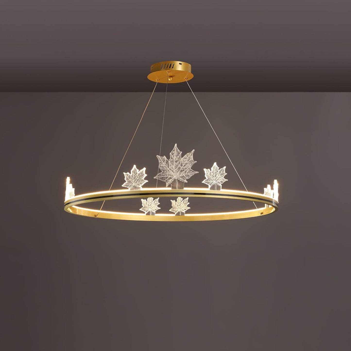 Ion Leaf Ceiling fixture Chandelier