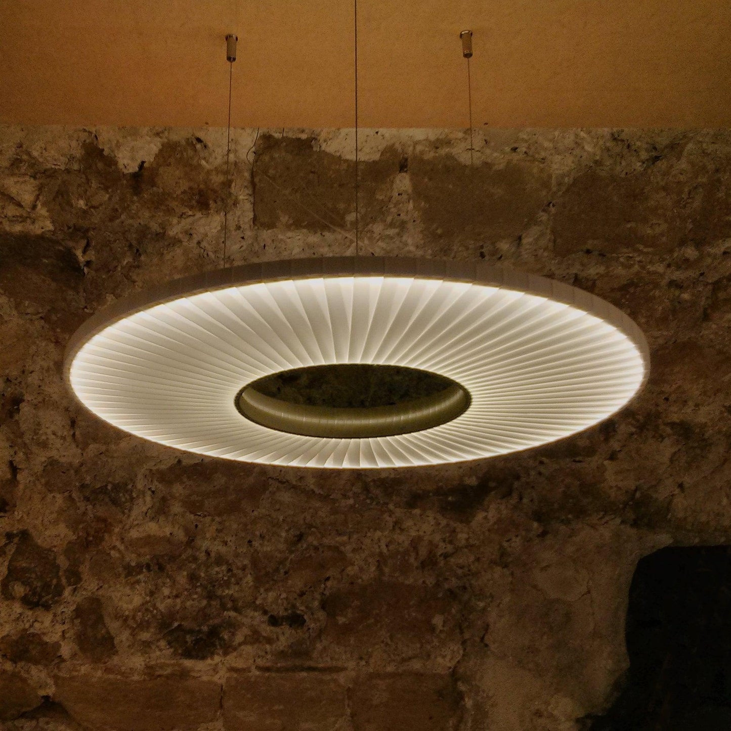 Iris Drop light Pendant Lamp