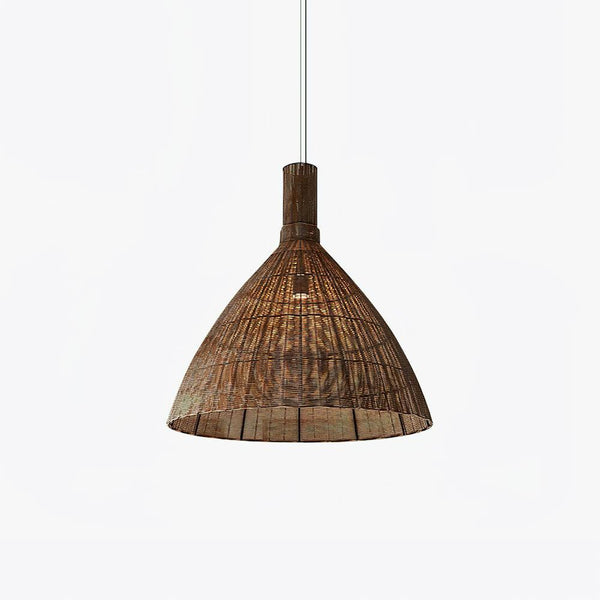 Kalani Hanging light Pendant Light