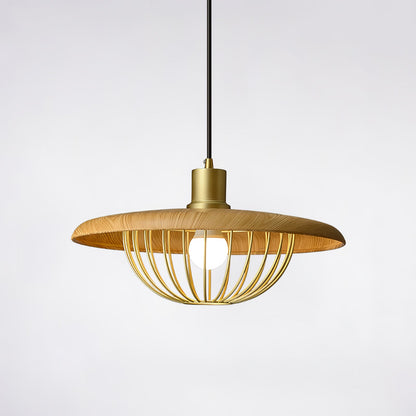 Kasa Drop light Pendant Lamp