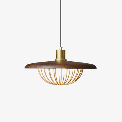 Kasa Drop light Pendant Lamp