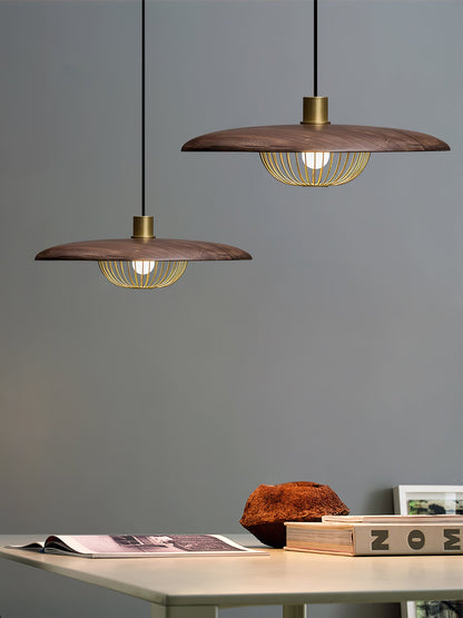 Kasa Drop light Pendant Lamp