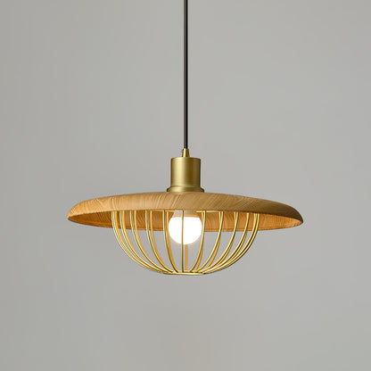 Kasa Drop light Pendant Lamp