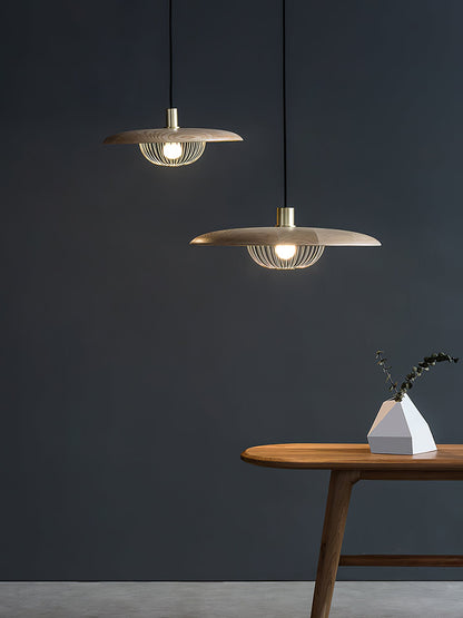 Kasa Drop light Pendant Lamp