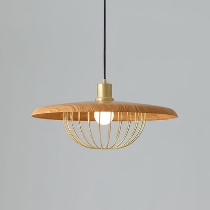 Kasa Drop light Pendant Lamp