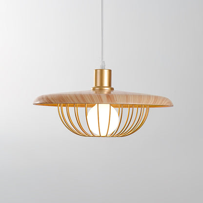 Kasa Drop light Pendant Lamp