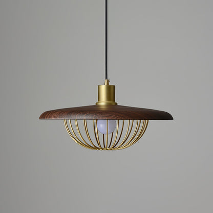 Kasa Drop light Pendant Lamp