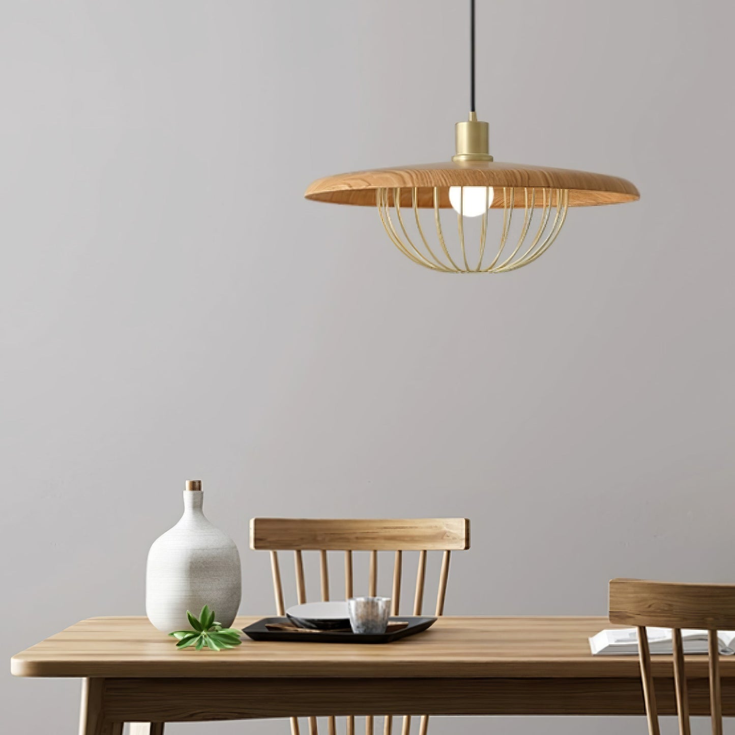 Kasa Drop light Pendant Lamp