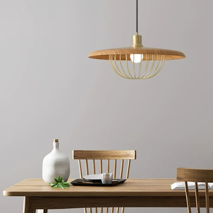 Kasa Drop light Pendant Lamp