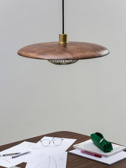 Kasa Drop light Pendant Lamp