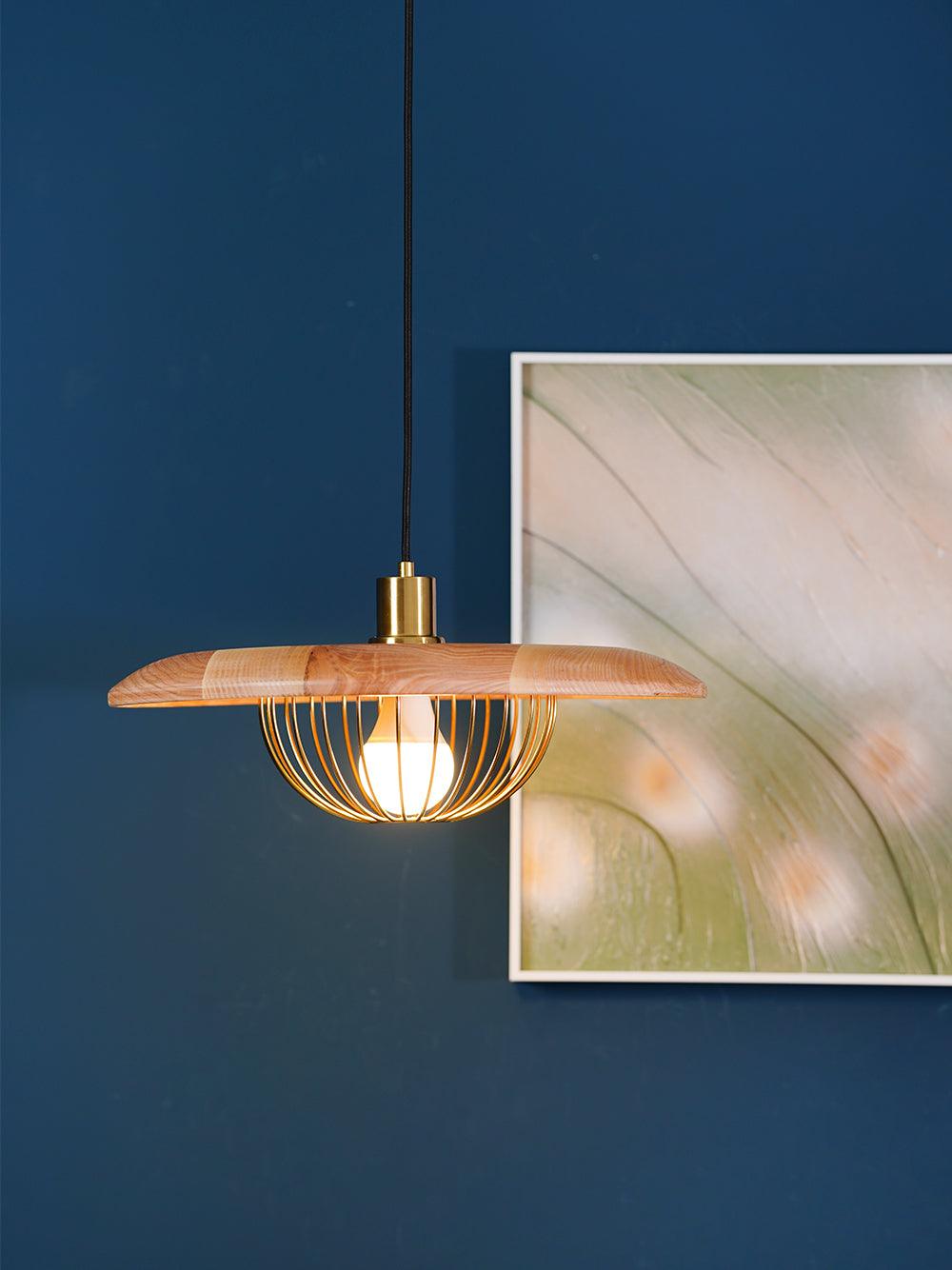 Kasa Drop light Pendant Lamp