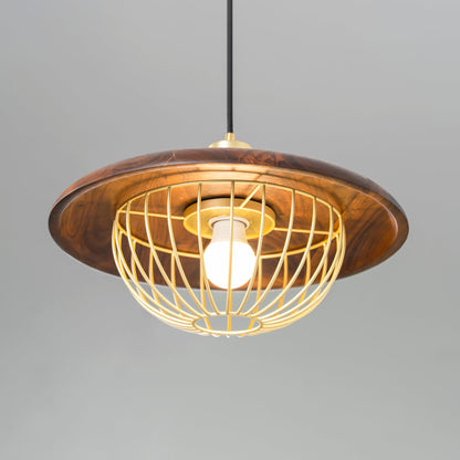 Kasa Drop light Pendant Lamp