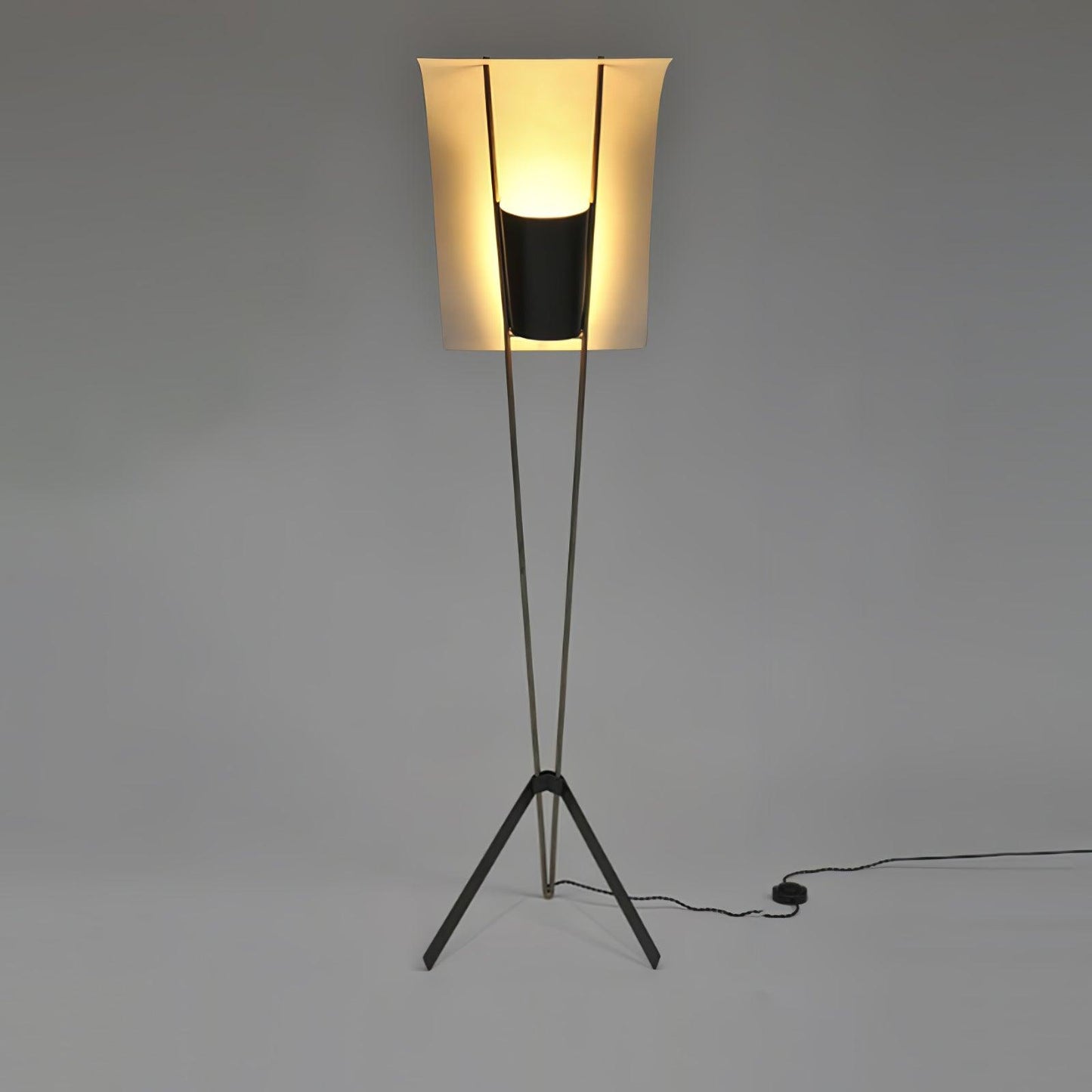 Kite Reading Lamp Floor Lamp