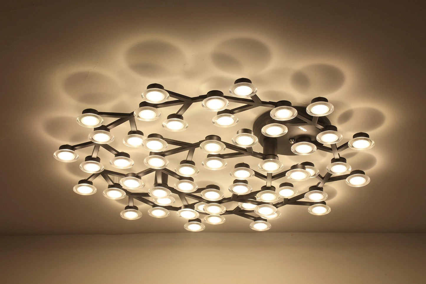 LED Net Ceiling-mounted light Ceiling Lamp