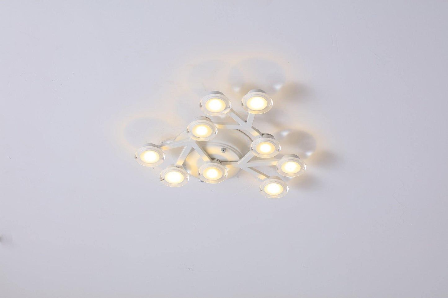 LED Net Ceiling-mounted light Ceiling Lamp