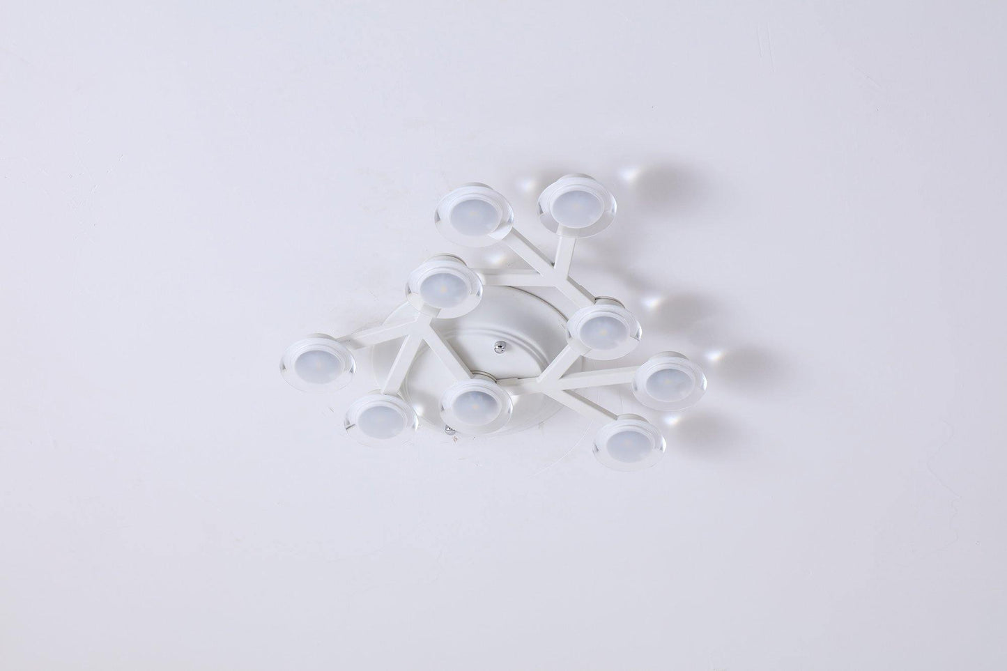 LED Net Ceiling-mounted light Ceiling Lamp