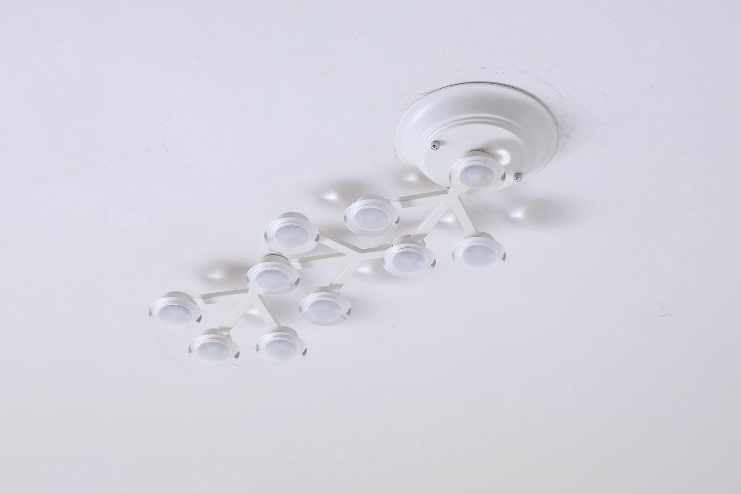 LED Net Ceiling-mounted light Ceiling Lamp