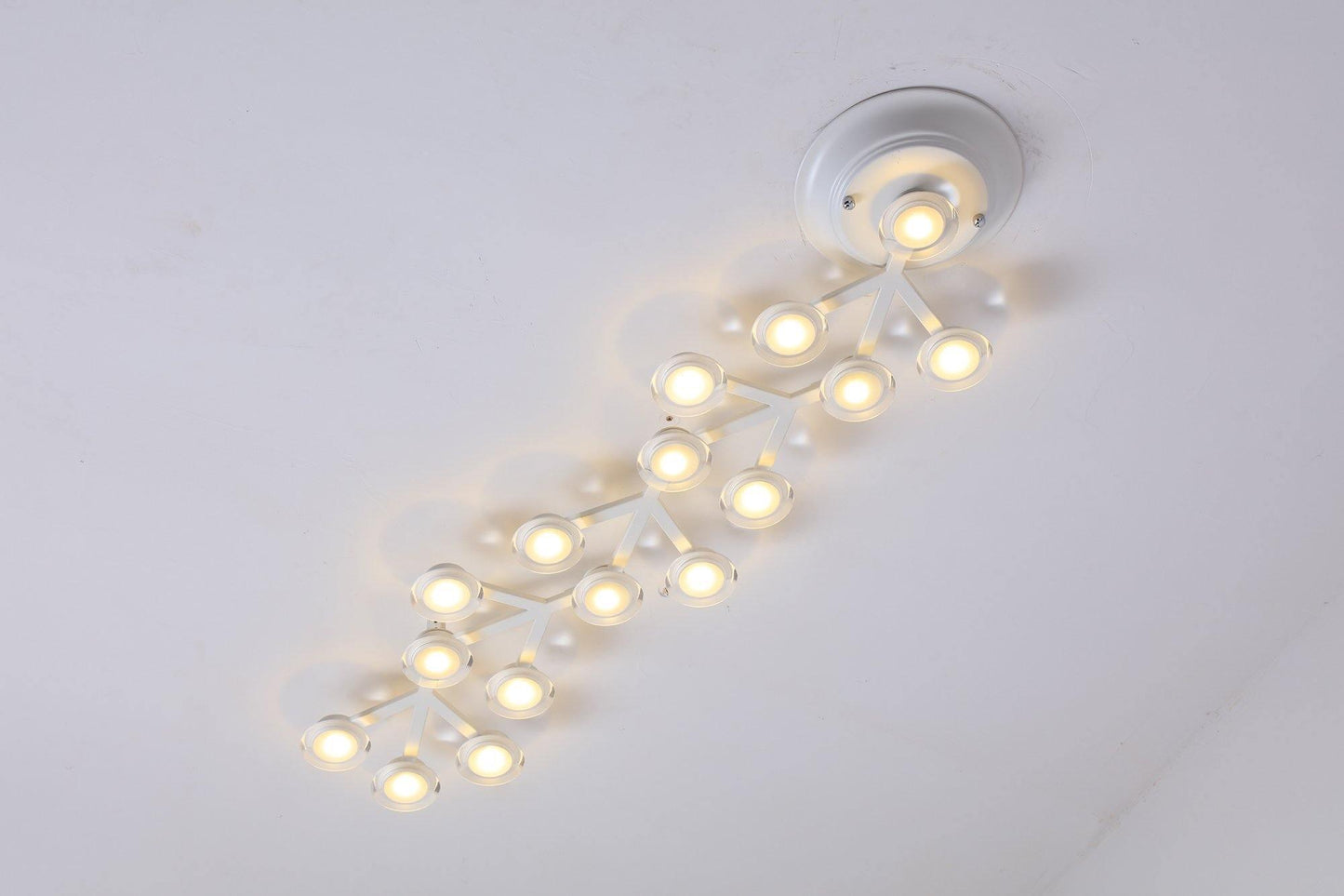 LED Net Ceiling-mounted light Ceiling Lamp