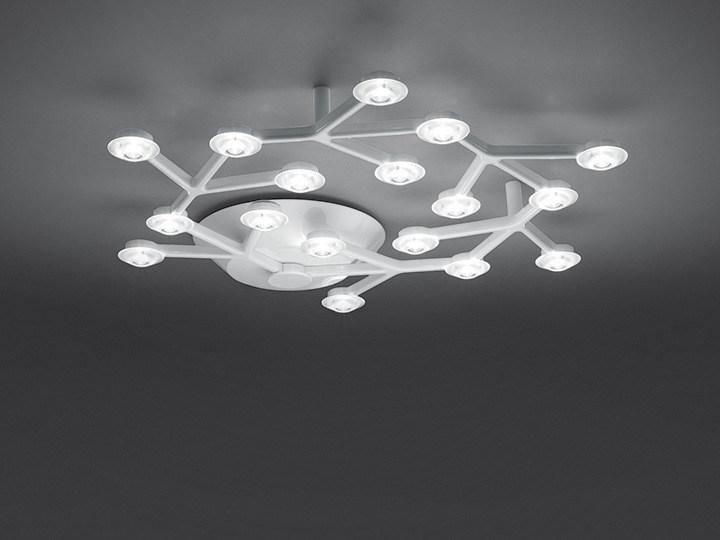 LED Net Ceiling-mounted light Ceiling Lamp