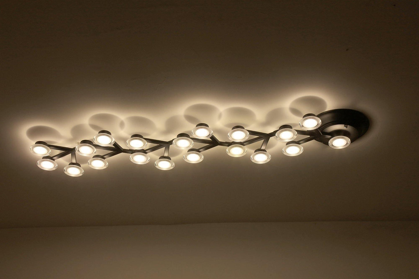 LED Net Ceiling-mounted light Ceiling Lamp