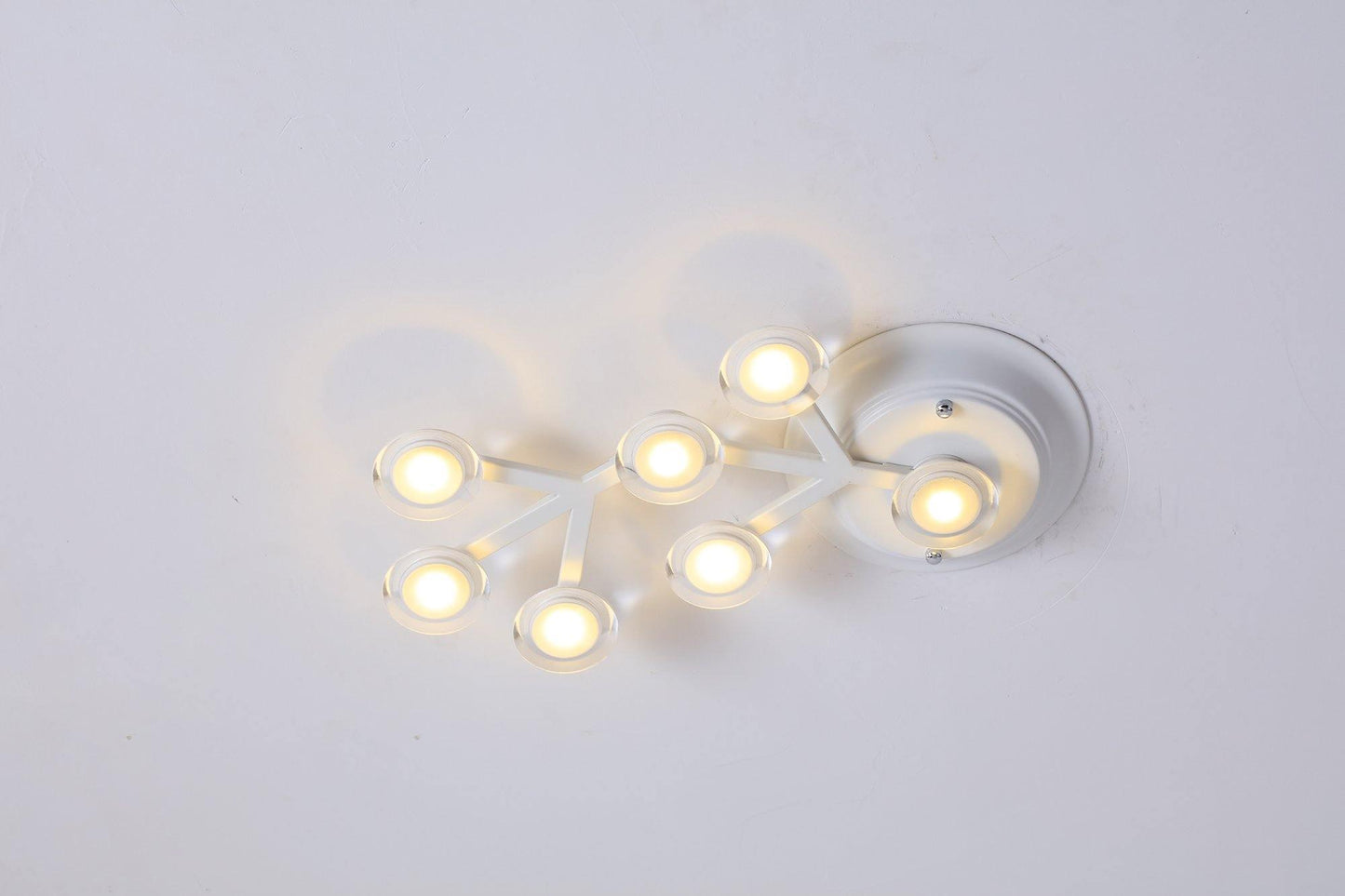 LED Net Ceiling-mounted light Ceiling Lamp