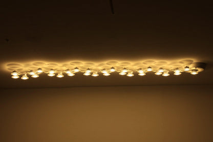 LED Net Ceiling-mounted light Ceiling Lamp