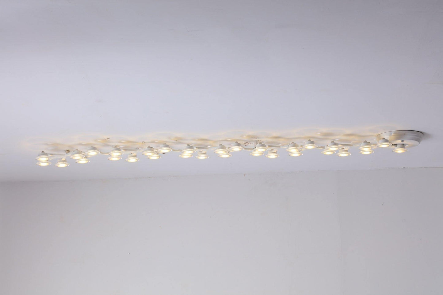 LED Net Ceiling-mounted light Ceiling Lamp